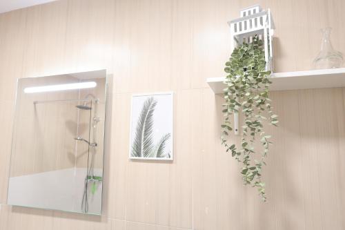 a bathroom with a plant hanging on the wall at Puerta de Arcos in Arcos de la Frontera