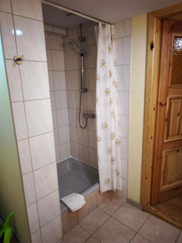 a bathroom with a tub and a shower with a shower curtain at Agroturystyka Pod Leszczyną in Wambierzyce