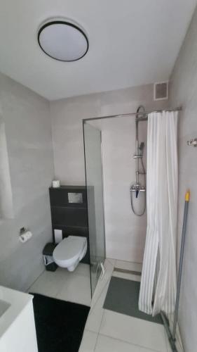a bathroom with a toilet and a shower with a mirror at U Znajomych in Wołkowyja