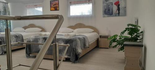 a bedroom with two beds and a potted plant at Colt de rai in Secăria