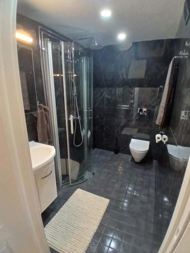 a bathroom with a shower and a toilet and a sink at Berghaga in Köping