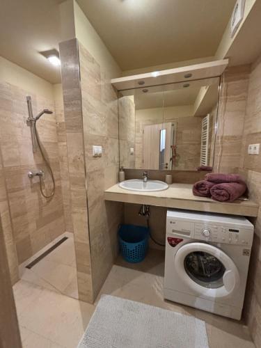 a bathroom with a washing machine and a sink at Balaton Vibe Apartman Füred in Balatonfüred