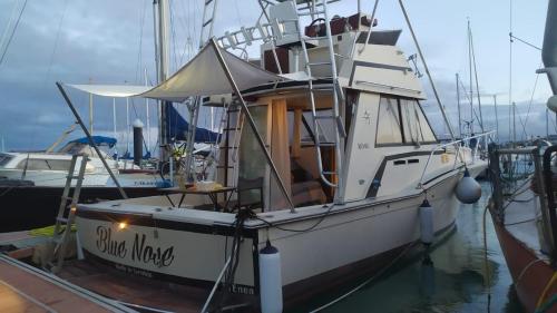 Corralejo Boat Experience