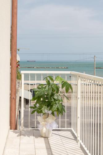 eine Pflanze in einer Vase auf einem Balkon mit Blick auf den Strand in der Unterkunft Dimora Caprera - Appartamenti in Falconara Marittima