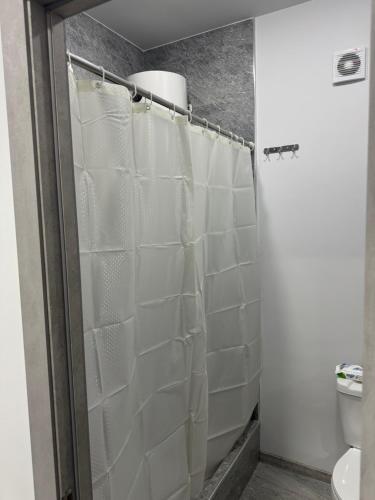 a bathroom with a shower curtain and a toilet at Manes in Yeghegnadzor
