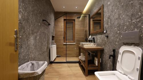a bathroom with a shower and a toilet and a sink at Perla e Tomorrit EZ in Ujanik