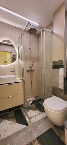 a bathroom with a shower with a toilet and a sink at Ežiukų rojus in Neringa