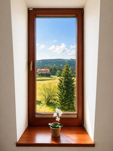 a window with a vase of flowers on a wooden window sill at Apartmán 18 Lidická bouda in Pec pod Sněžkou
