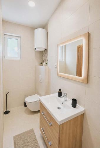 a bathroom with a sink and a toilet and a mirror at Little Vine House in Mostar