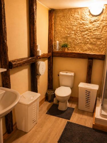 a bathroom with a toilet and a sink at Le logis Bressan-cosy-clim in Coligny