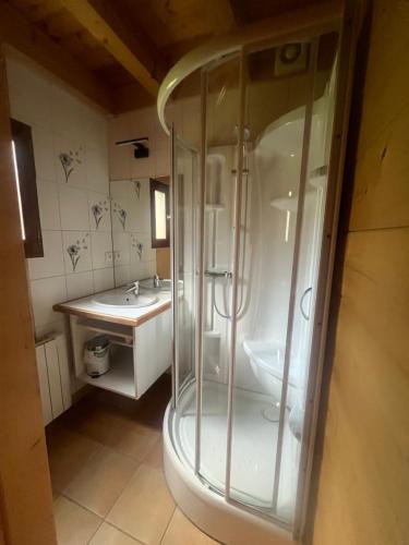 a bathroom with a shower and a sink at Le chalet de Pierrot in La Malène