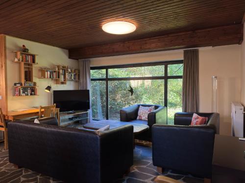 a living room with a couch and chairs and a television at Großes Ferienhaus fuer 8 Personen, Manderscheid in Manderscheid