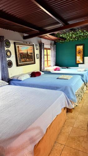 two beds in a room with blue walls at Bambito´s Café & Hostel in Cerro Punta