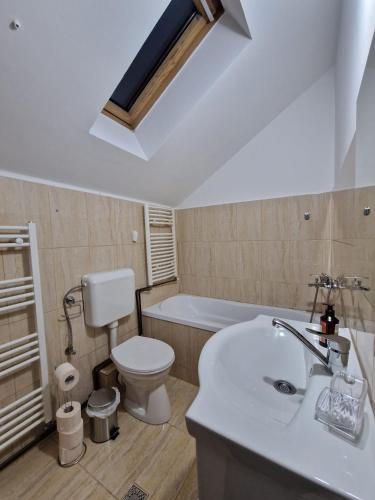 a bathroom with a toilet and a sink and a bath tub at Dixi Studio in Timişoara