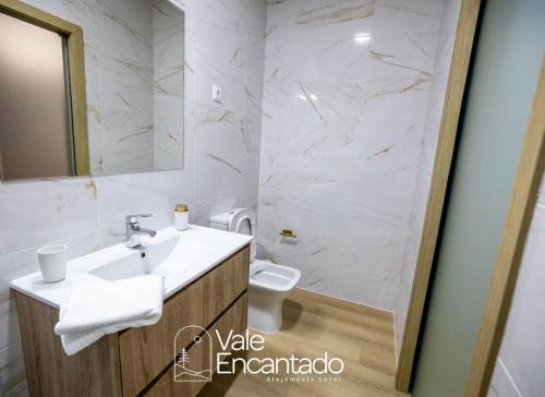 a bathroom with a sink and a toilet at Vale Encantado in Parada de Ester