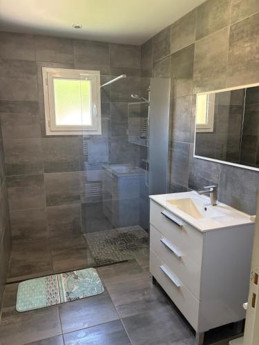 a bathroom with a sink and a shower at Maison perthois in Saint-Dizier