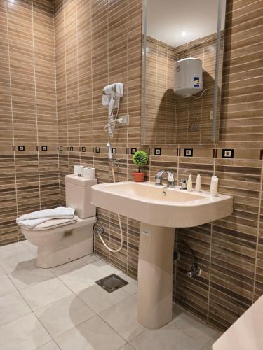 a bathroom with a sink and a toilet and a mirror at nova pyramids inn in Cairo