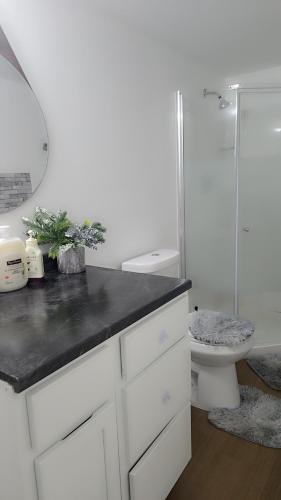 a white bathroom with a sink and a toilet at Beautiful Home for all in Moncton