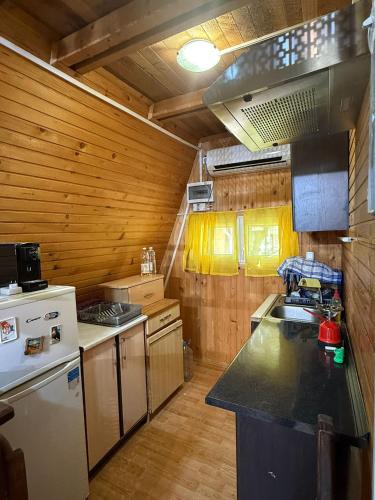 a kitchen with a stove and a counter top at Vikendice Garić in Veliko Gradište