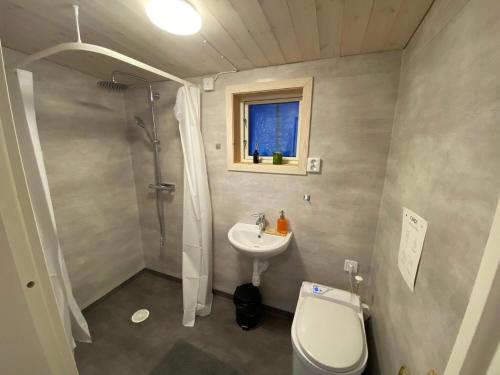 a small bathroom with a toilet and a sink at 6 person holiday home in Ucklum-By Traum in Ucklum