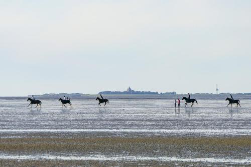 Am Sahlenburger Strand AS05 photo 11