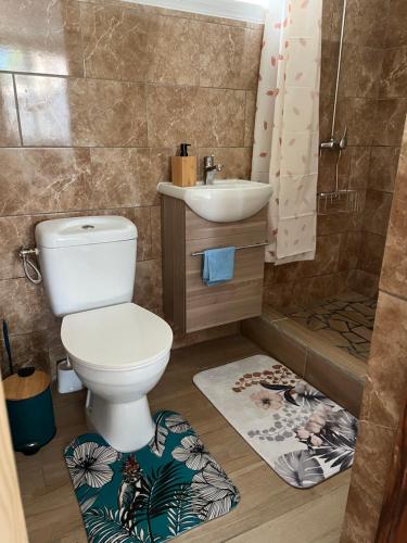 a bathroom with a toilet and a sink at Instant Locatif in Gourbeyre