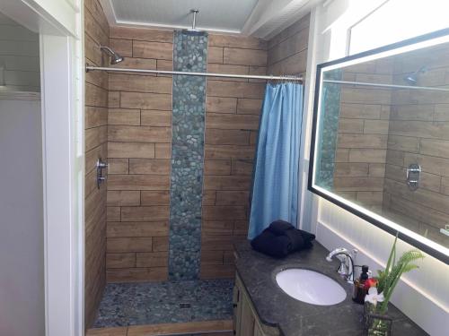 a bathroom with a shower with a sink at Beaufort SC New Renovation, Close to Parris Island, Historic Downtown, Beautiful Beaches, Sleeps 6 in Beaufort