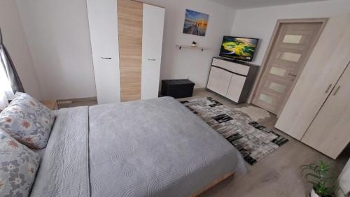 a bedroom with a bed and a flat screen tv at Casa Vatra Dornei in Vatra Dornei