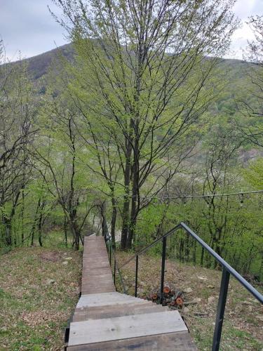 ein hölzerner Steg auf einem Feld mit einem Baum in der Unterkunft Mura Doftana in Seciuri