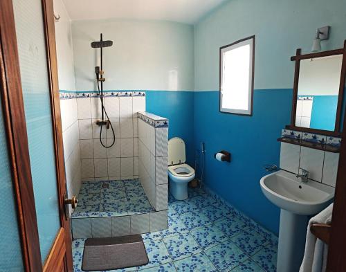 a blue bathroom with a toilet and a sink at Antsirabe Hotel in Antsirabe
