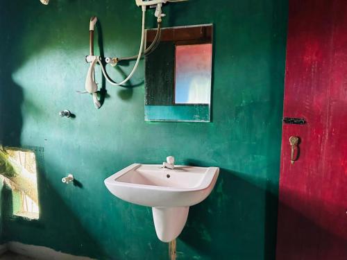 a green bathroom with a sink and a red door at Eco Tree House Yala in Tissamaharama