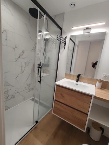 a bathroom with a sink and a shower at Appartement Centre in Lourdes