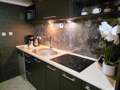 a kitchen with a sink and a counter top at Diament Rogowo in Rogowo