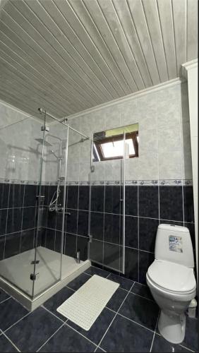 a bathroom with a glass shower and a toilet at Nia's Guesthouse in Zemo Alvani
