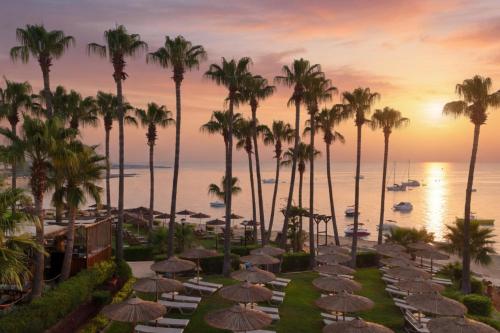 a view of a resort with palm trees and umbrellas at Cavo Maris Beach Hotel & Suites in Protaras