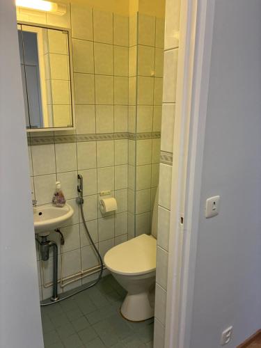 a bathroom with a toilet and a sink at Huoneisto Vipunen in Savonlinna