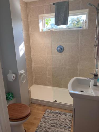 ein Badezimmer mit Dusche, Toilette und Waschbecken in der Unterkunft Snipe Vineyard Cottage in Woodbridge