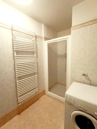a bathroom with a washing machine and a shower at Dolomiti Alpine Homes - Appartamento Brenta in Giustino