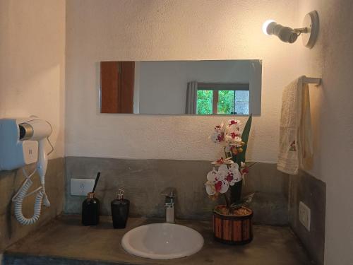 a bathroom sink with a mirror and a vase of flowers at Canto do sossego in Gonçalves