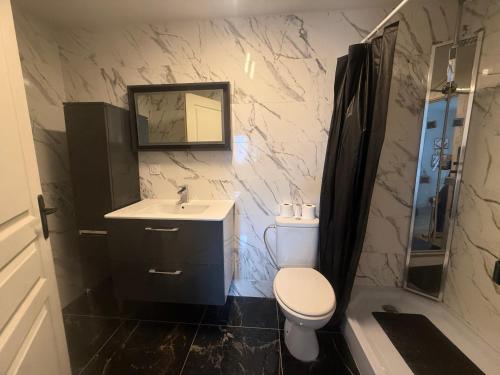 a bathroom with a toilet and a sink and a mirror at Escale à Villeneuve in Villeneuve-sur-Yonne