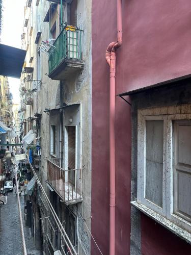 House Vincenzo Palma