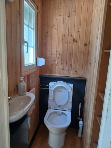 a small bathroom with a toilet and a sink at Sosnowa Polana in Lipinki