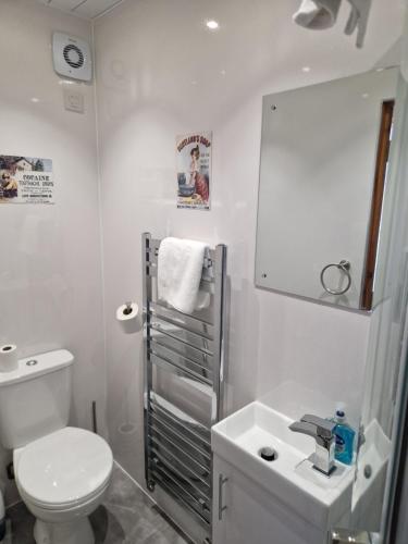 a white bathroom with a toilet and a sink at Sidhean Dubha Holiday Home in Portree