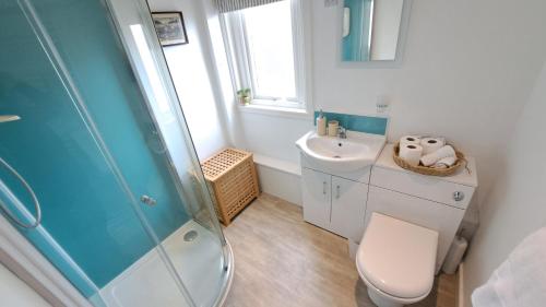 a bathroom with a shower and a toilet and a sink at Seaview Cottage, Drimnin in Drimnin