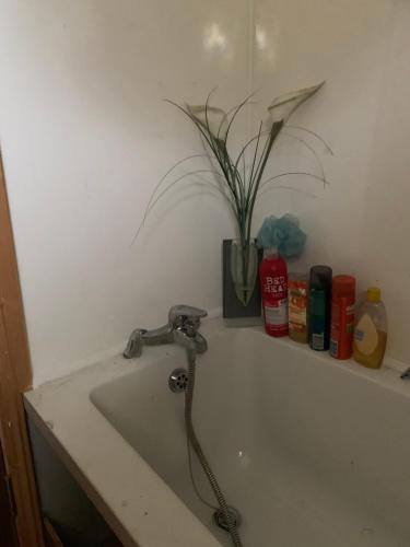 a bath tub with a faucet with a plant on a shelf at Stickens Apartment in Naas
