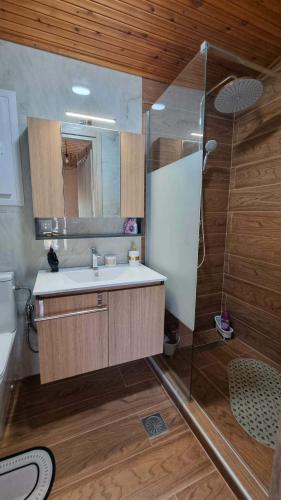 a bathroom with a shower and a sink and a mirror at Lingo garden house in Nea Irakleia