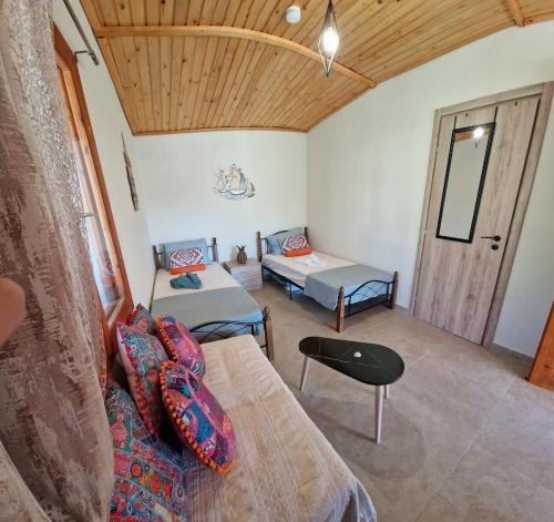 a living room with two beds and a couch at Lingo garden house in Nea Irakleia