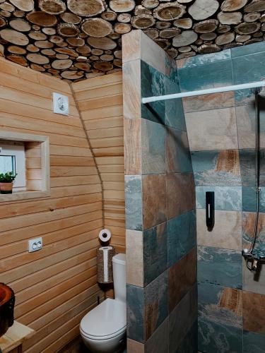 a bathroom with a toilet and a shower at A-frame будиночок in Staraya Guta