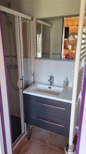 a bathroom with a sink and a mirror at STUDIO indépendant dans un chalet traditionnel in Ban-sur-Meurthe-Clefcy