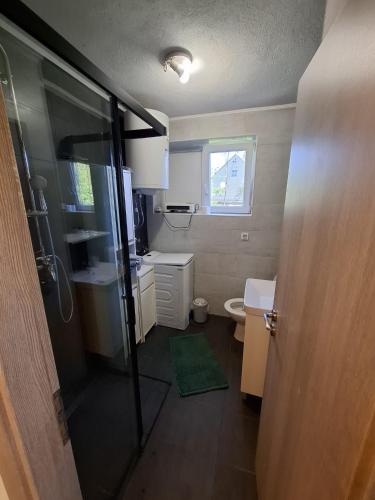 a bathroom with a shower and a sink and a toilet at Apartman Roko in Gospić